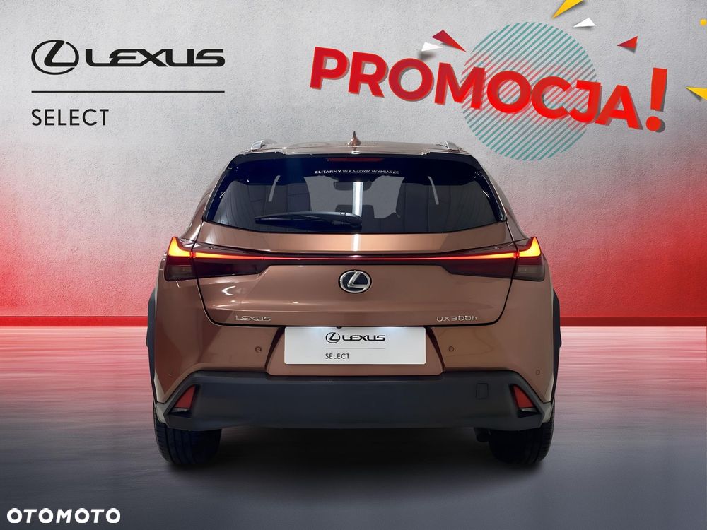Lexus UX 300h Business - 6
