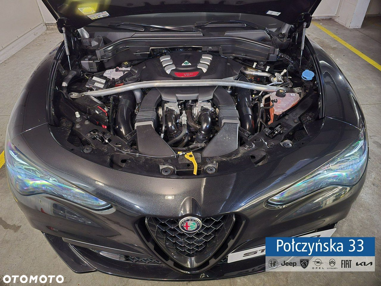 Alfa Romeo Stelvio - 33