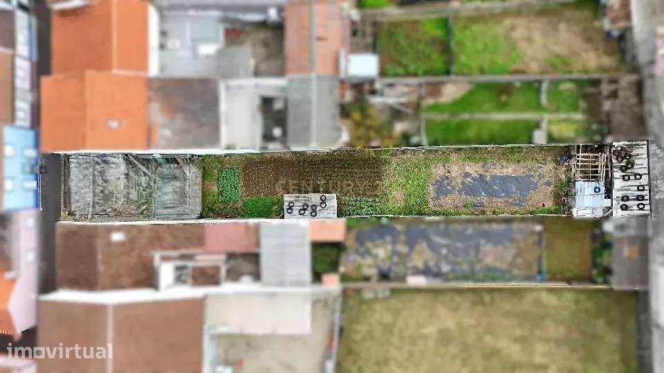 Ruína na Maia – Ribeira Grande, Ilha de São Miguel - Grande imagem: 3/14