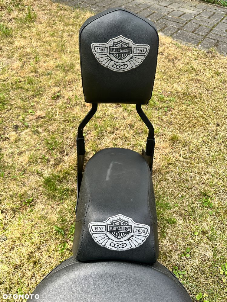 Harley-Davidson Softail Custom - 9