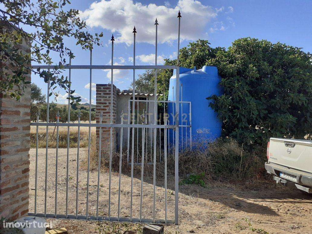 Quinta dos Capuchos, em Vila de Frades - Grande imagem: 3/30