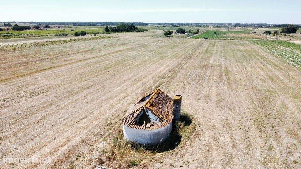 Quinta T2 em Almeirim de 100,00 m2 - Grande imagem: 5/15
