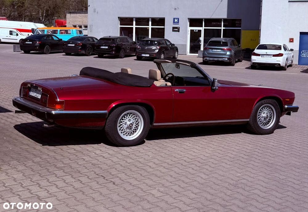 Jaguar XJS - 26