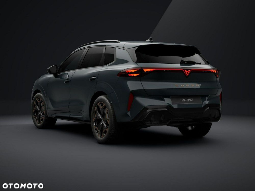 Cupra Terramar - 4