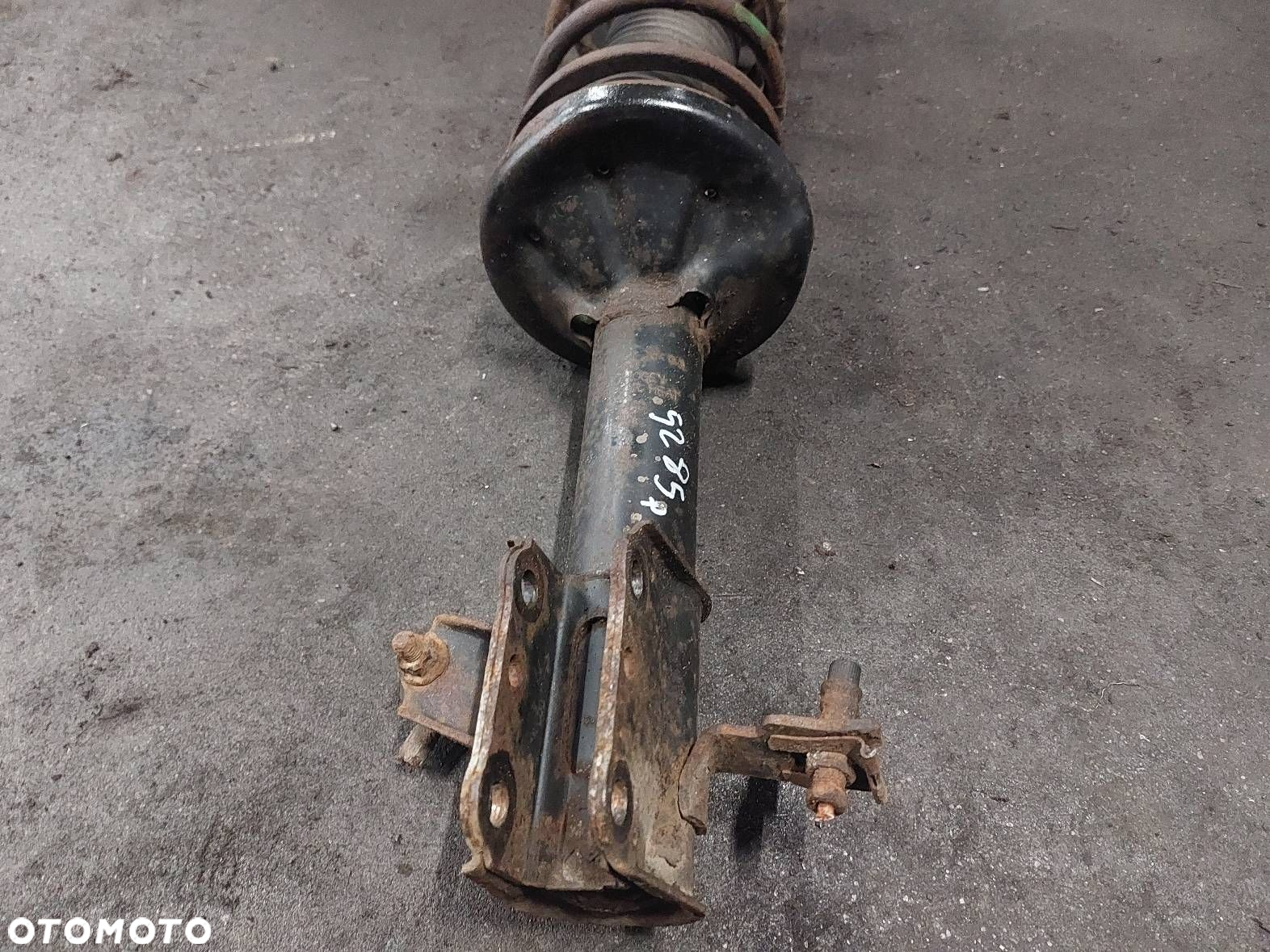 AMORTYZATOR + SPRĘŻYNA PRAWY TYŁ MAZDA 323F BA - 4
