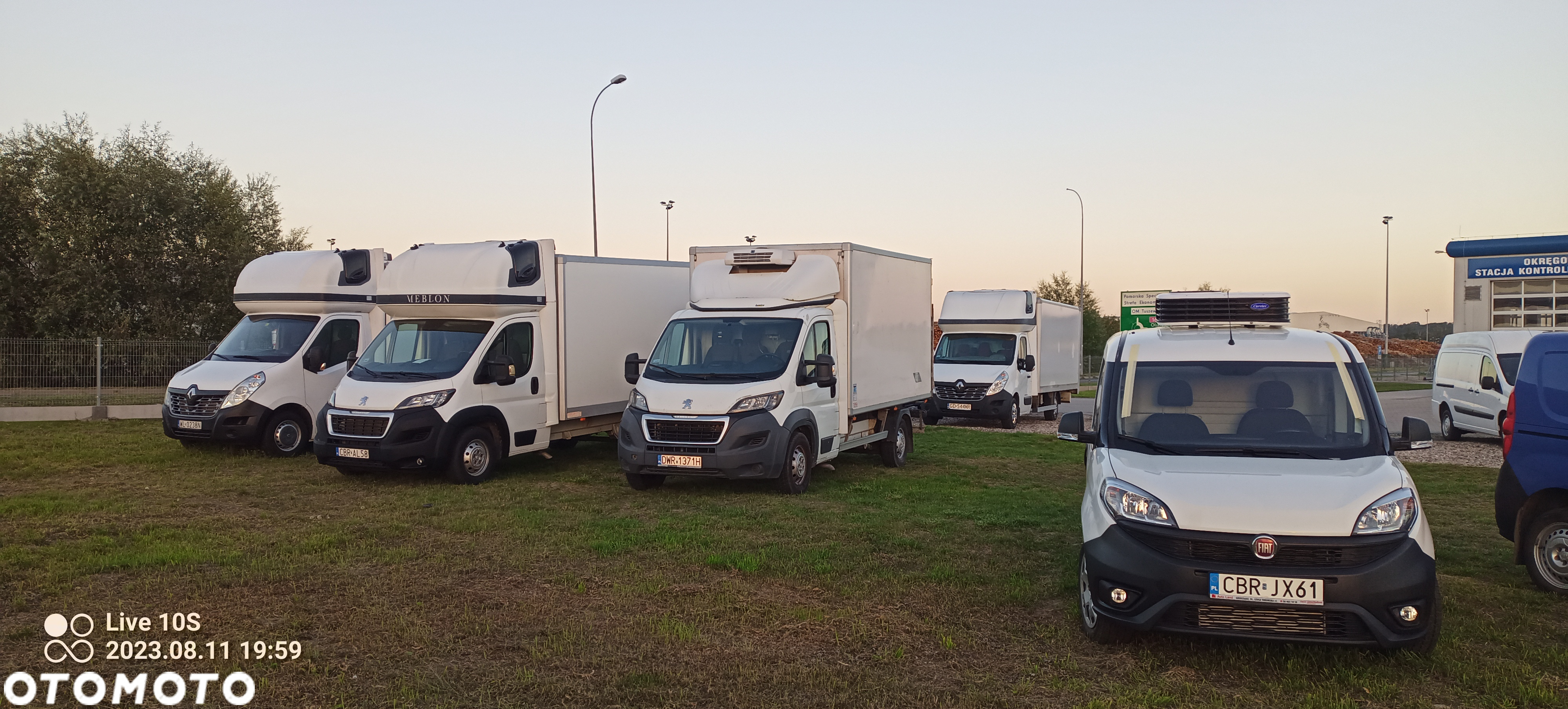 Dacia Dokker Maxi L2 Izoterma Mroźnia Chłodnia thermo King catering Salon PL - 23