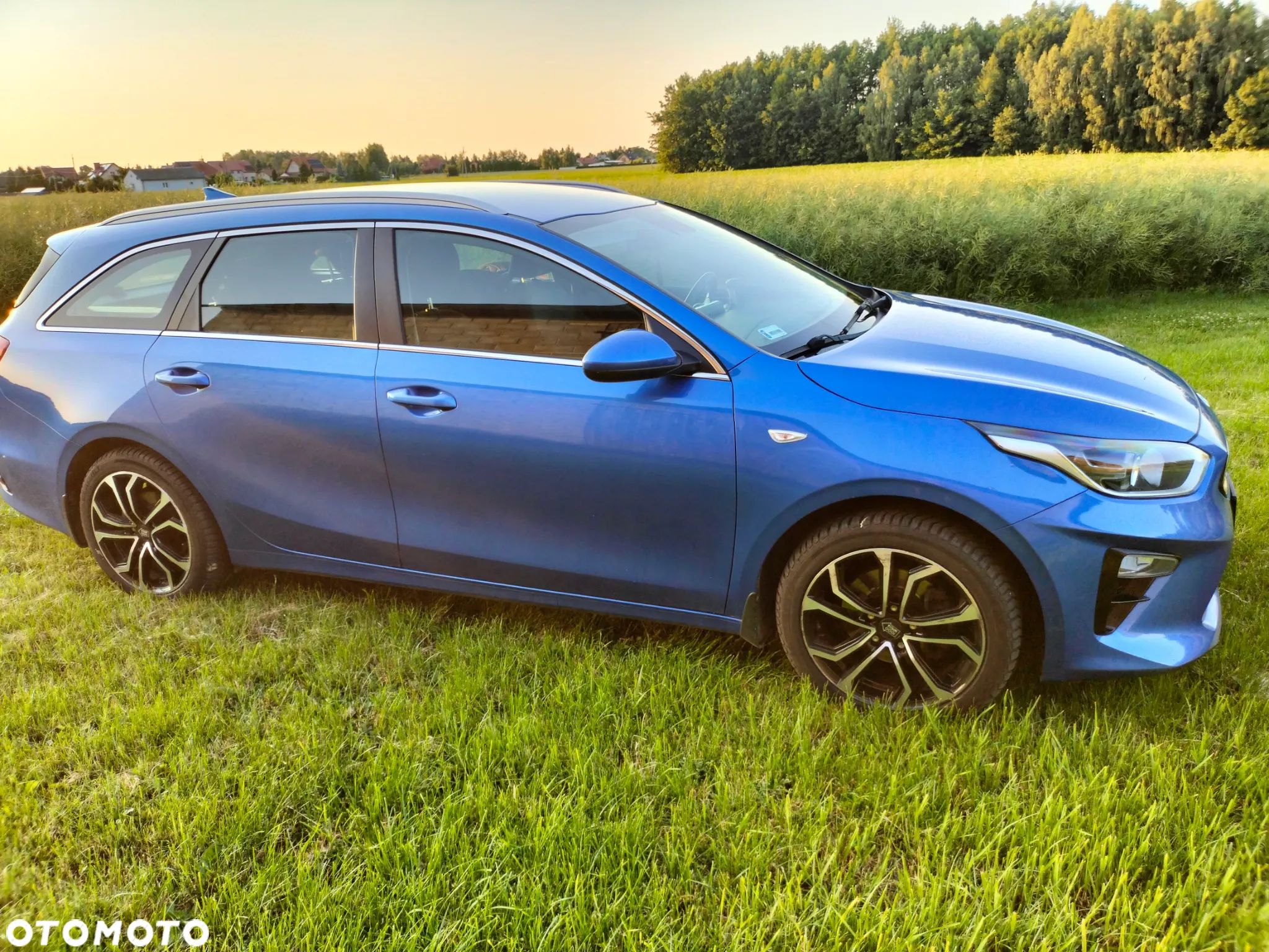Kia Ceed - 1
