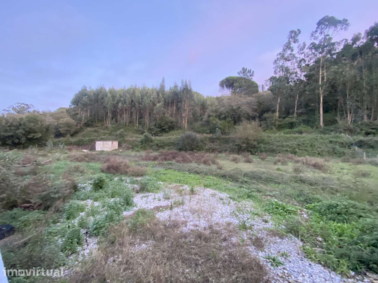 Terreno junto estrada Principal - Avessada - Grande imagem: 2/3