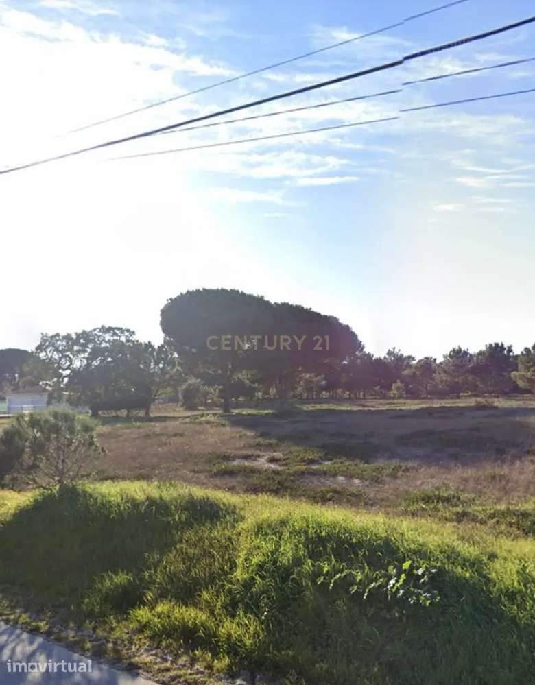 Terreno com 5000m2 na zona da Aldeia do Meco / Sesimbra - Grande imagem: 4/11