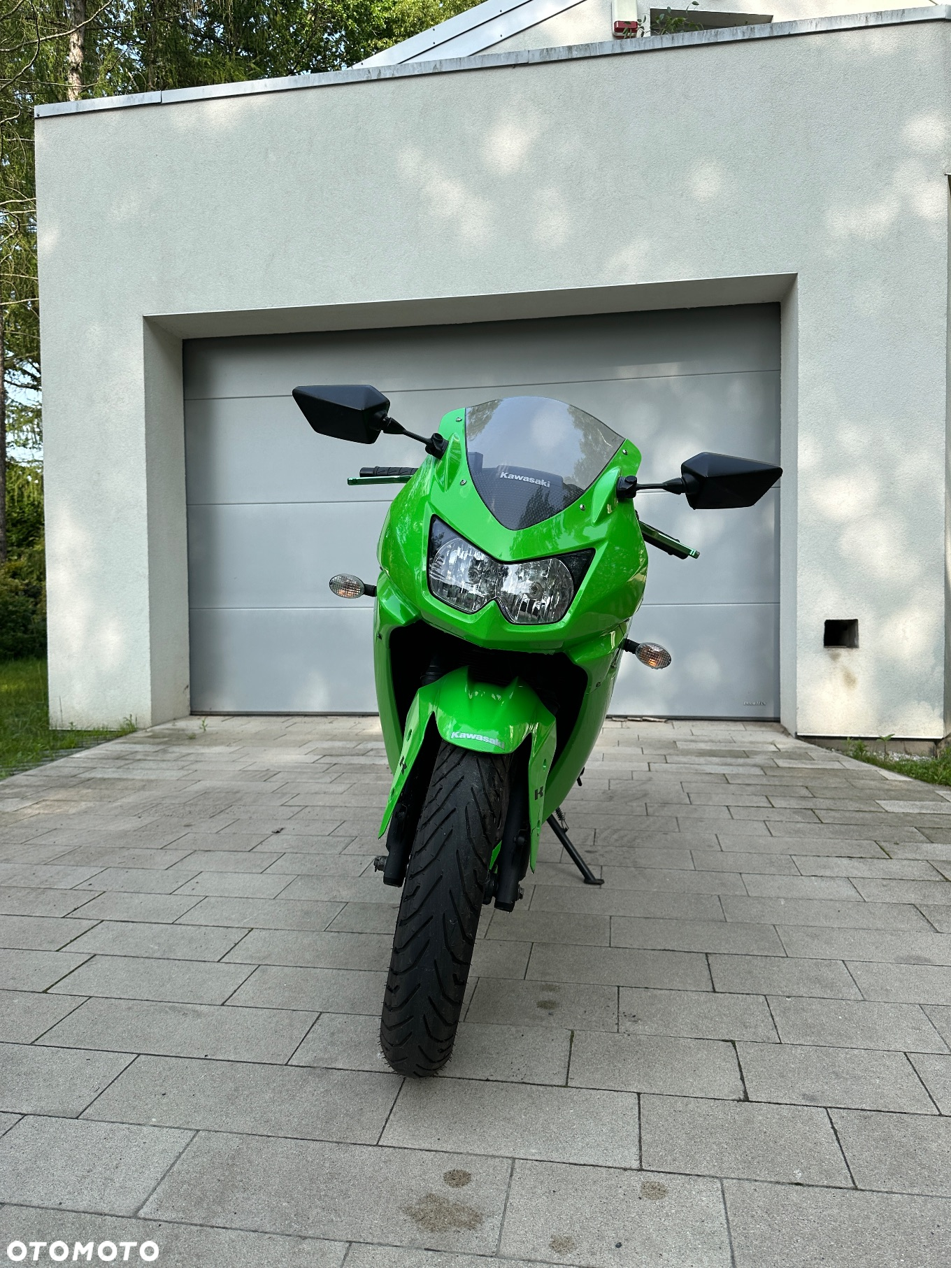 Kawasaki Ninja 250R - 3