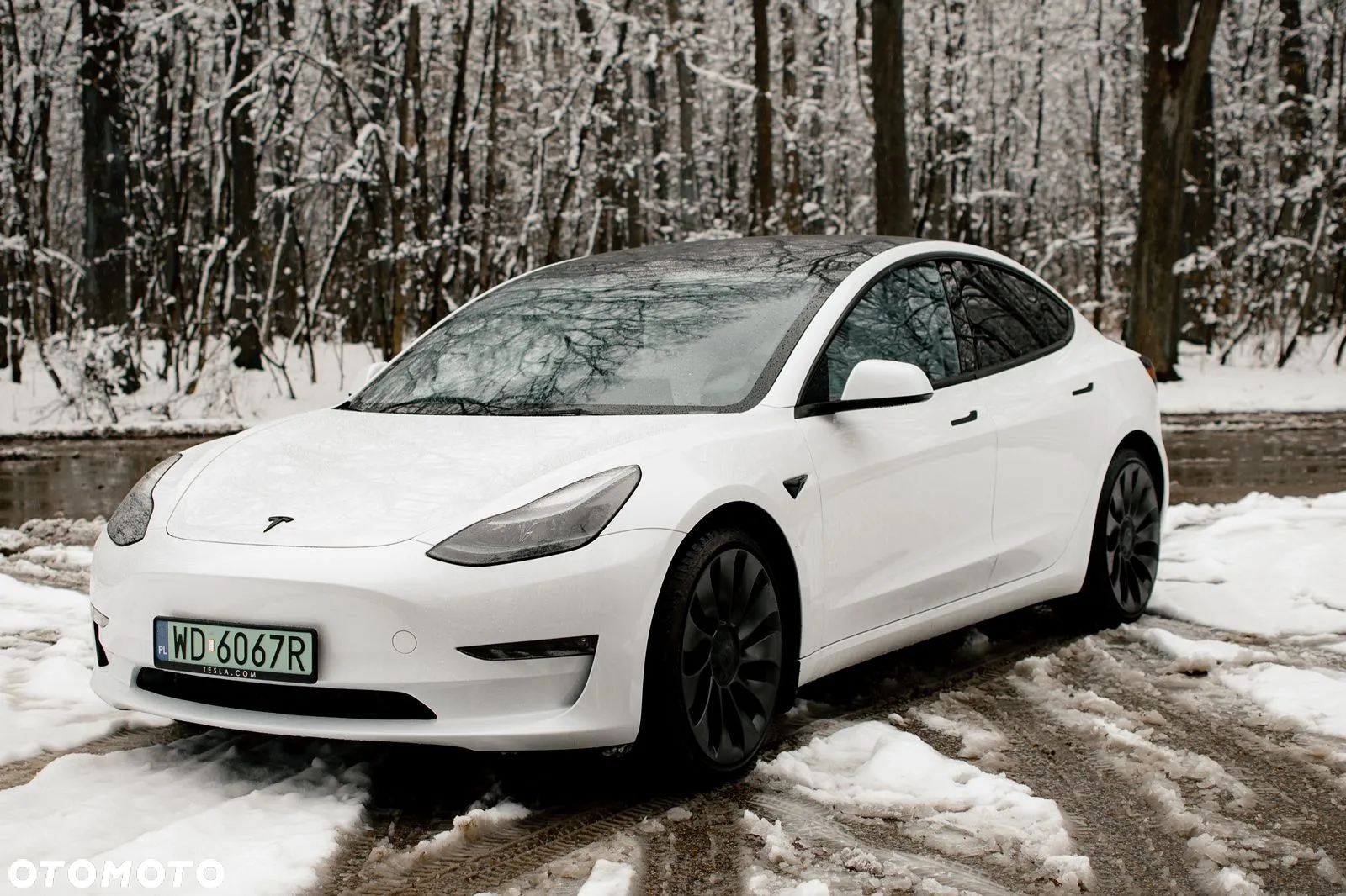 Tesla Model 3 Performance AWD - 12