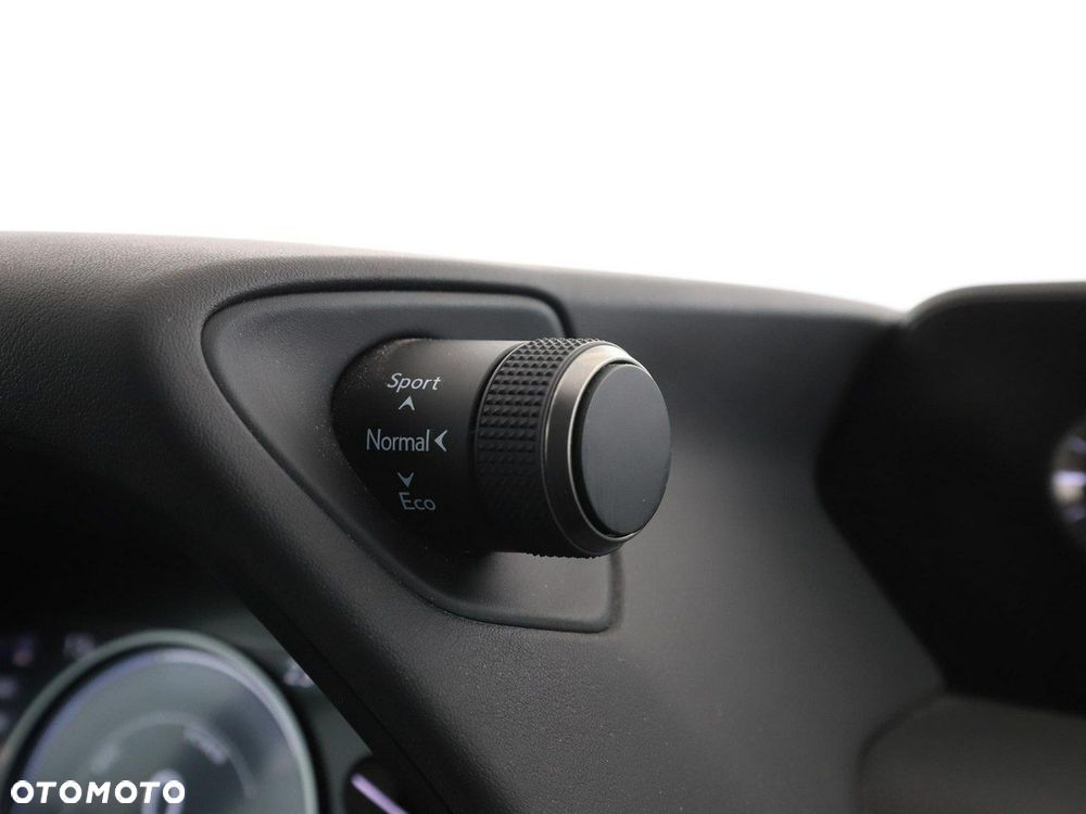 Lexus UX 250h GPF Prestige 2WD - 34