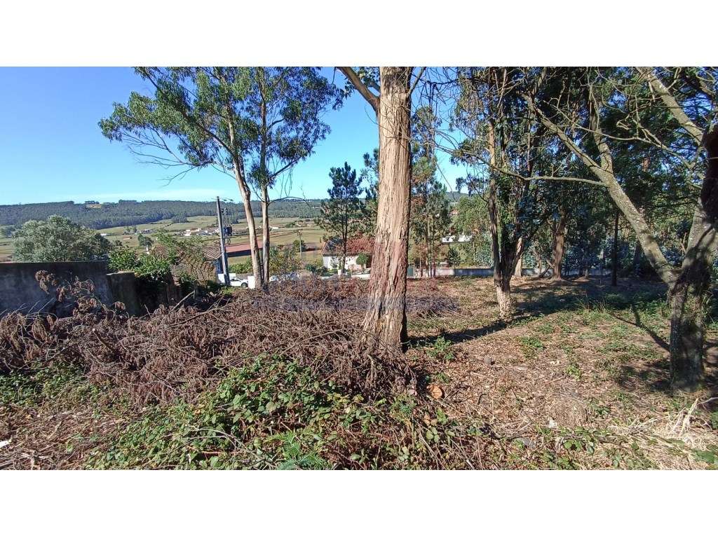 Lote de terreno em rates - Grande imagem: 2/11
