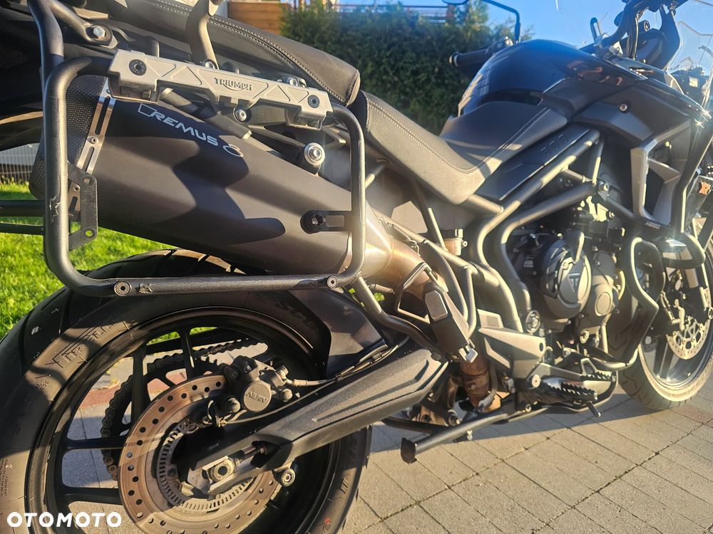 Triumph Tiger - 11