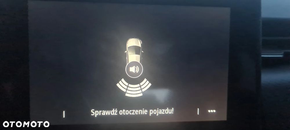 Renault Clio - 19