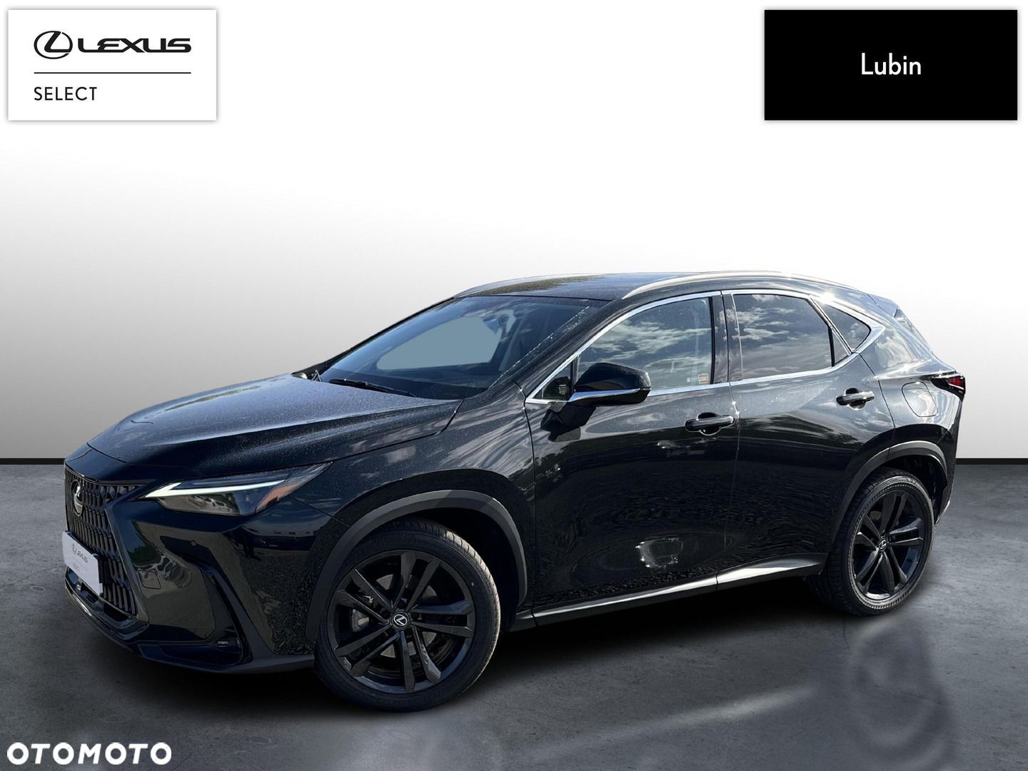 Lexus NX - 1