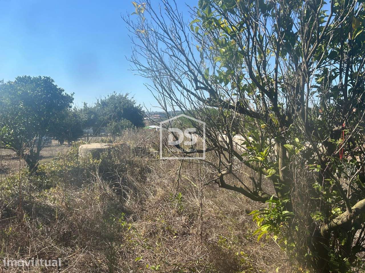 Moradia Devoluta T3 Venda em Cela,Alcobaça - Grande imagem: 5/34