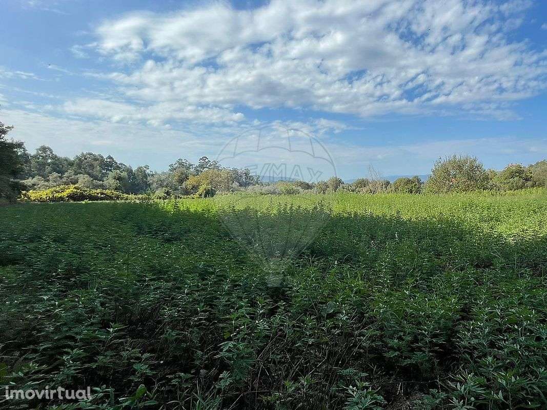 Terreno  para venda - Grande imagem: 2/18