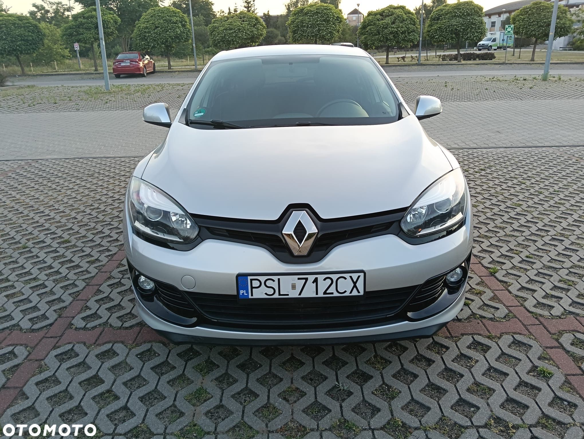 Renault Megane - 1