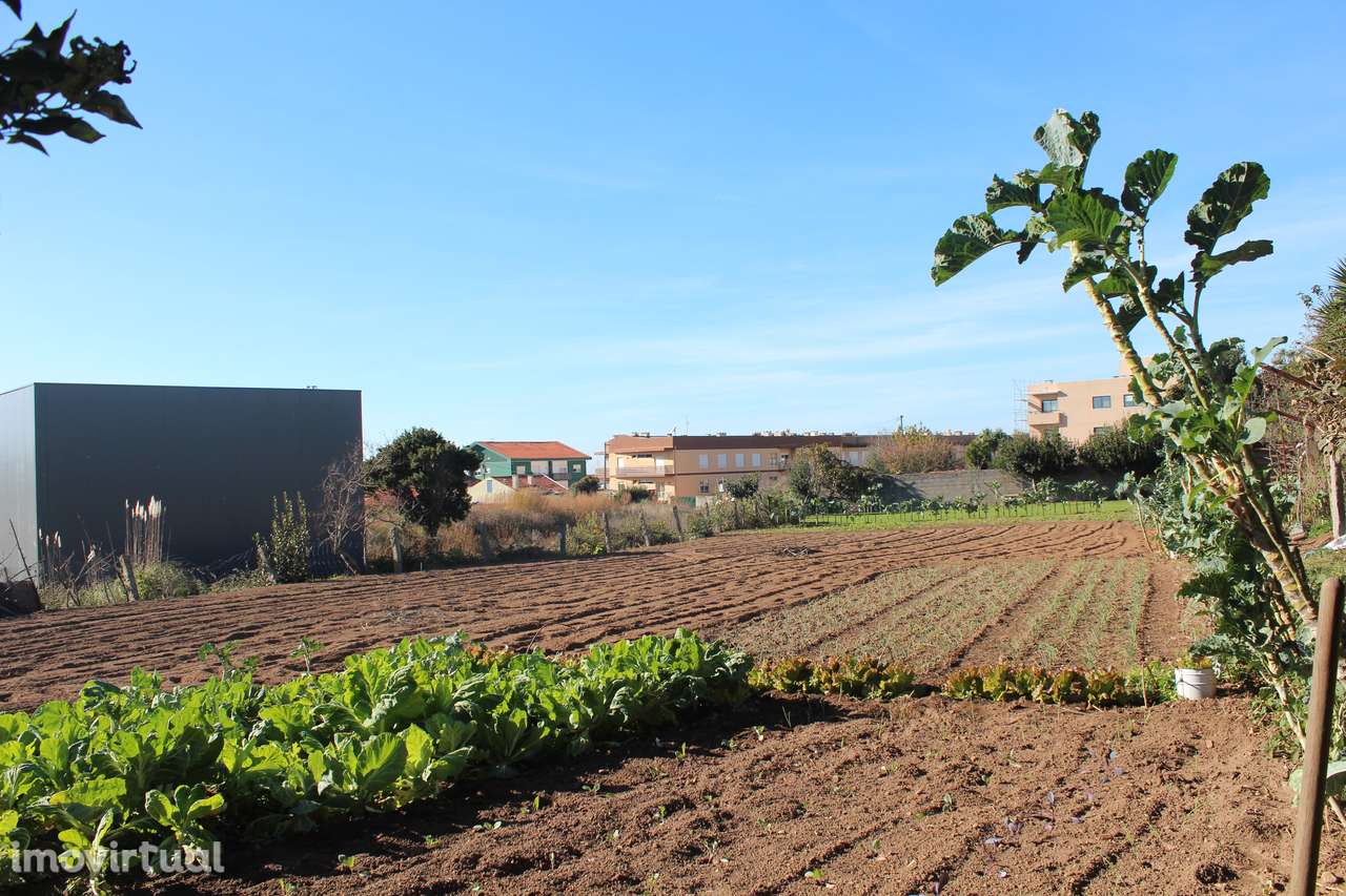 Terreno com casas para reconstrução - Grande imagem: 3/7