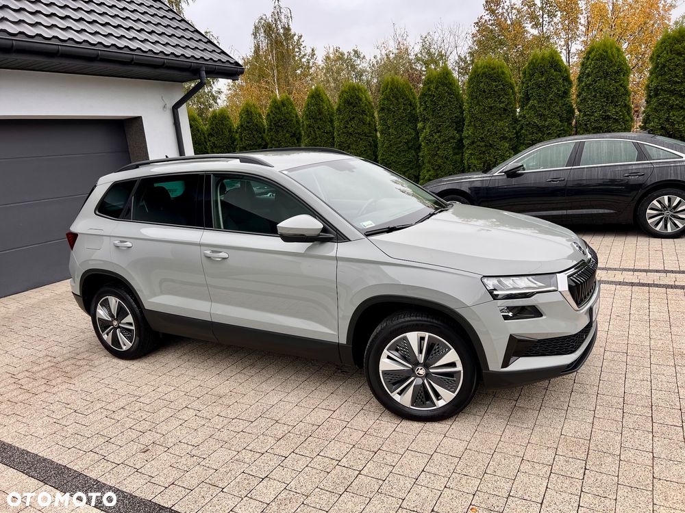 Skoda Karoq - 21