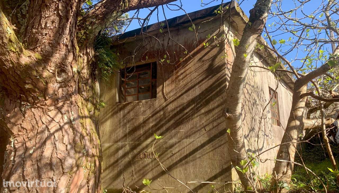 Armazém para Conversão em Moradia T2 – Vilar de Mouros - Grande imagem: 3/17