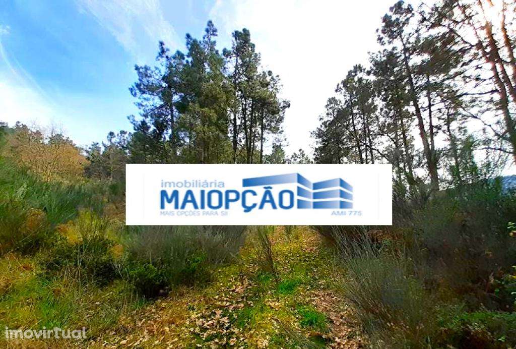 Terreno T5+ - Grande imagem: 4/5