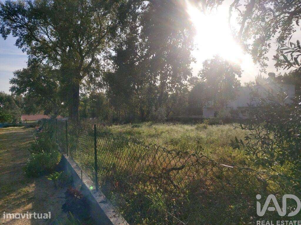 Terreno misto em Pedreiras - Grande imagem: 4/19