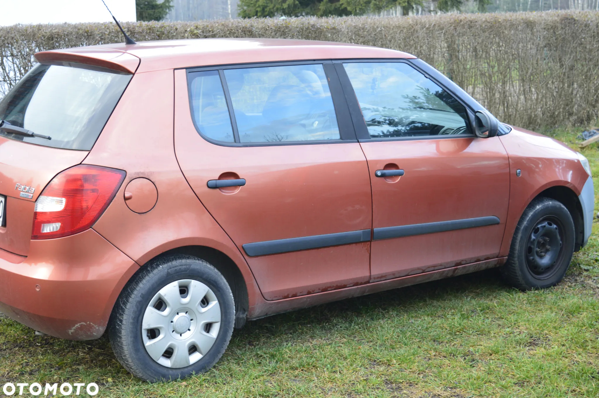 Skoda Fabia - 3