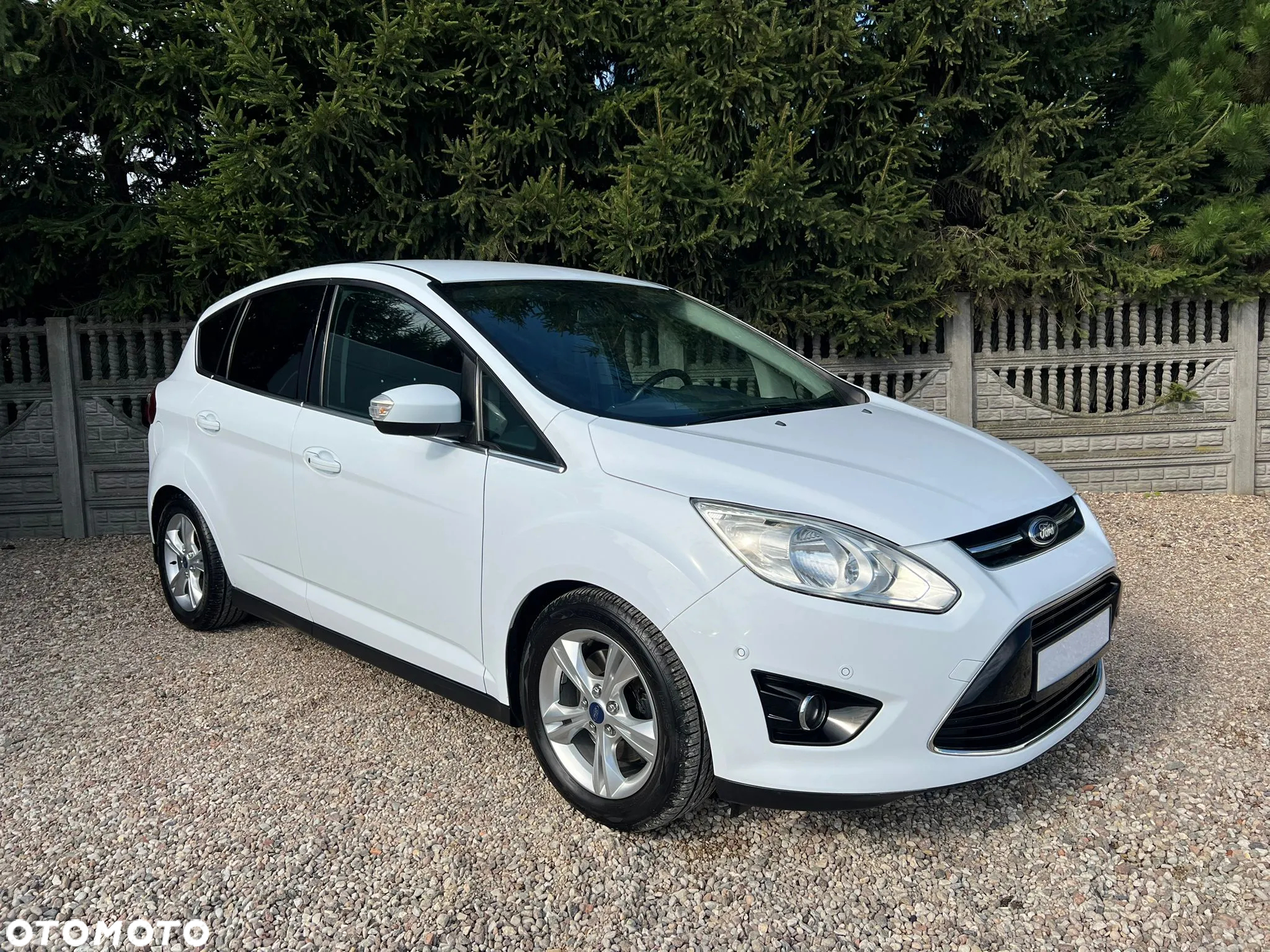 Ford C-MAX 2.0 TDCi Titanium - 38