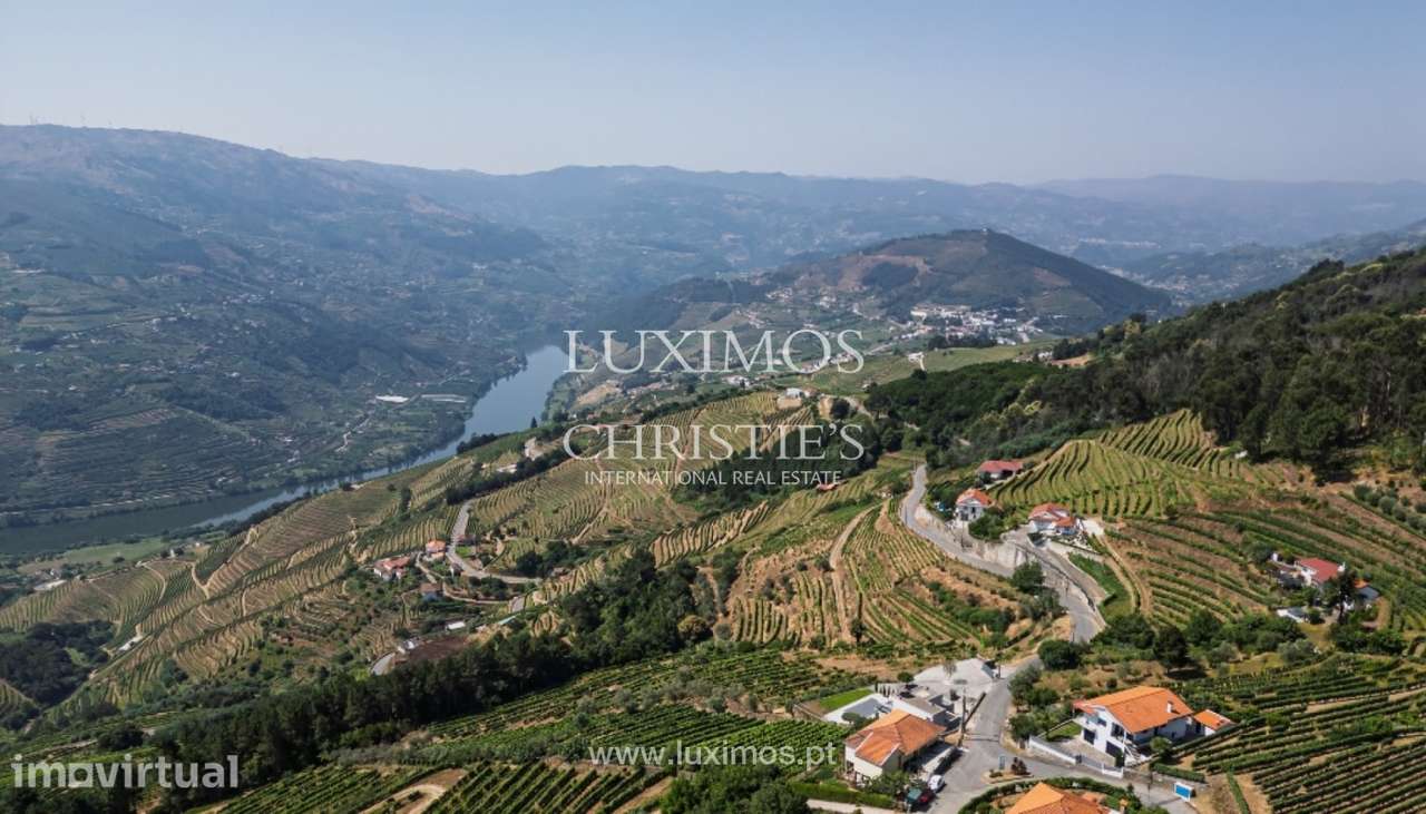 Quinta vinícola para venda em Mesão Frio no Douro Valley - Grande imagem: 3/25