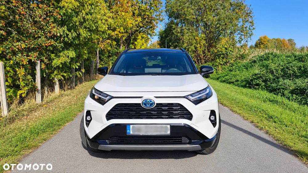 Toyota RAV4 2.5 Hybrid Selection 4x2 - 2
