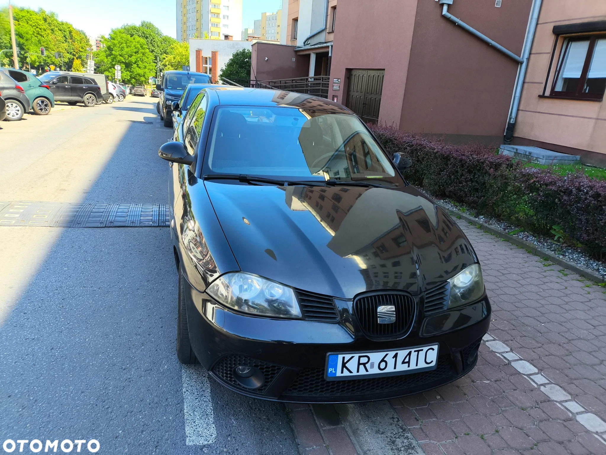 Seat Ibiza - 2