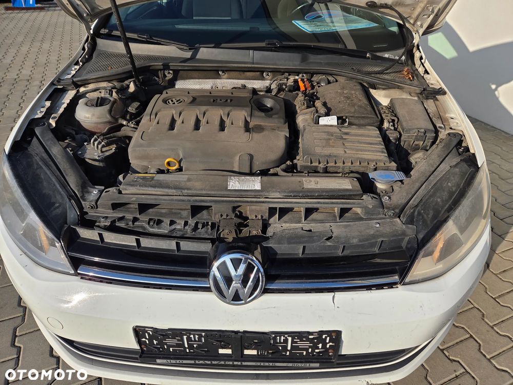 Volkswagen Golf - 19