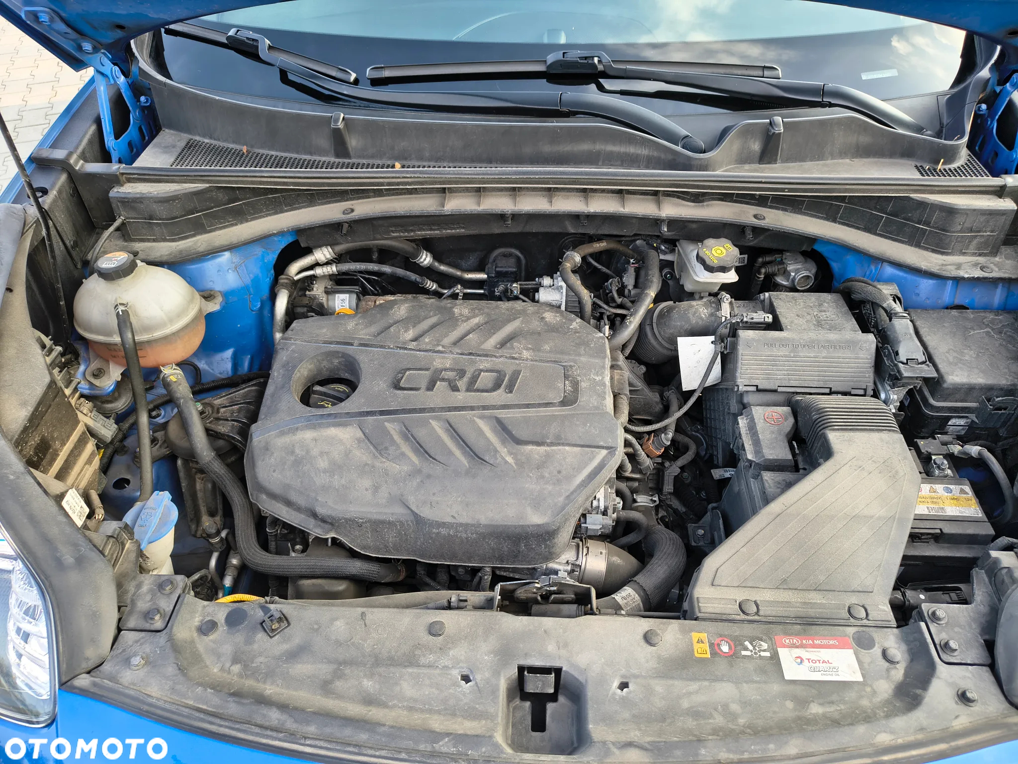 Kia Sportage - 18