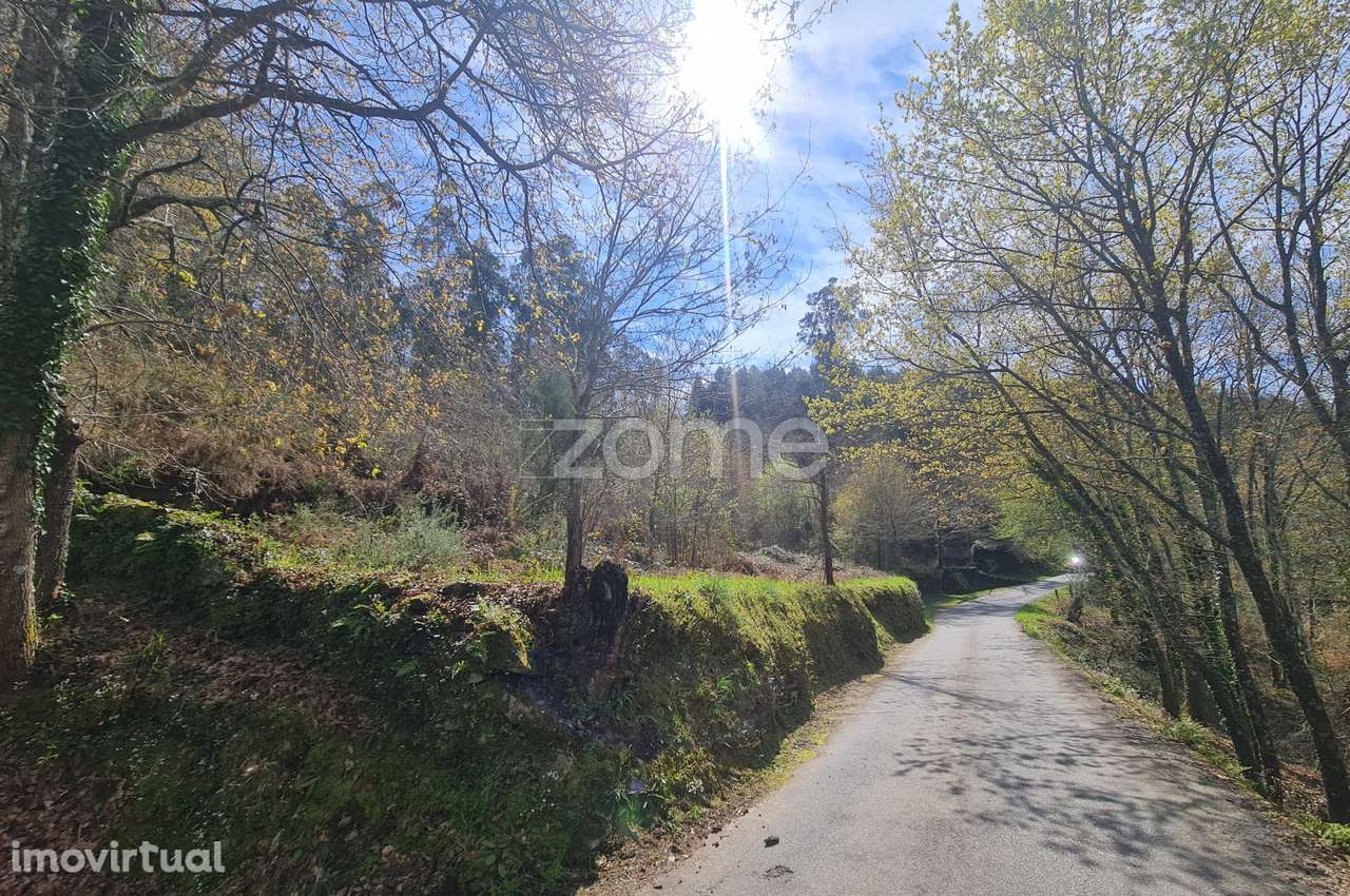 Terreno - Grande imagem: 4/7