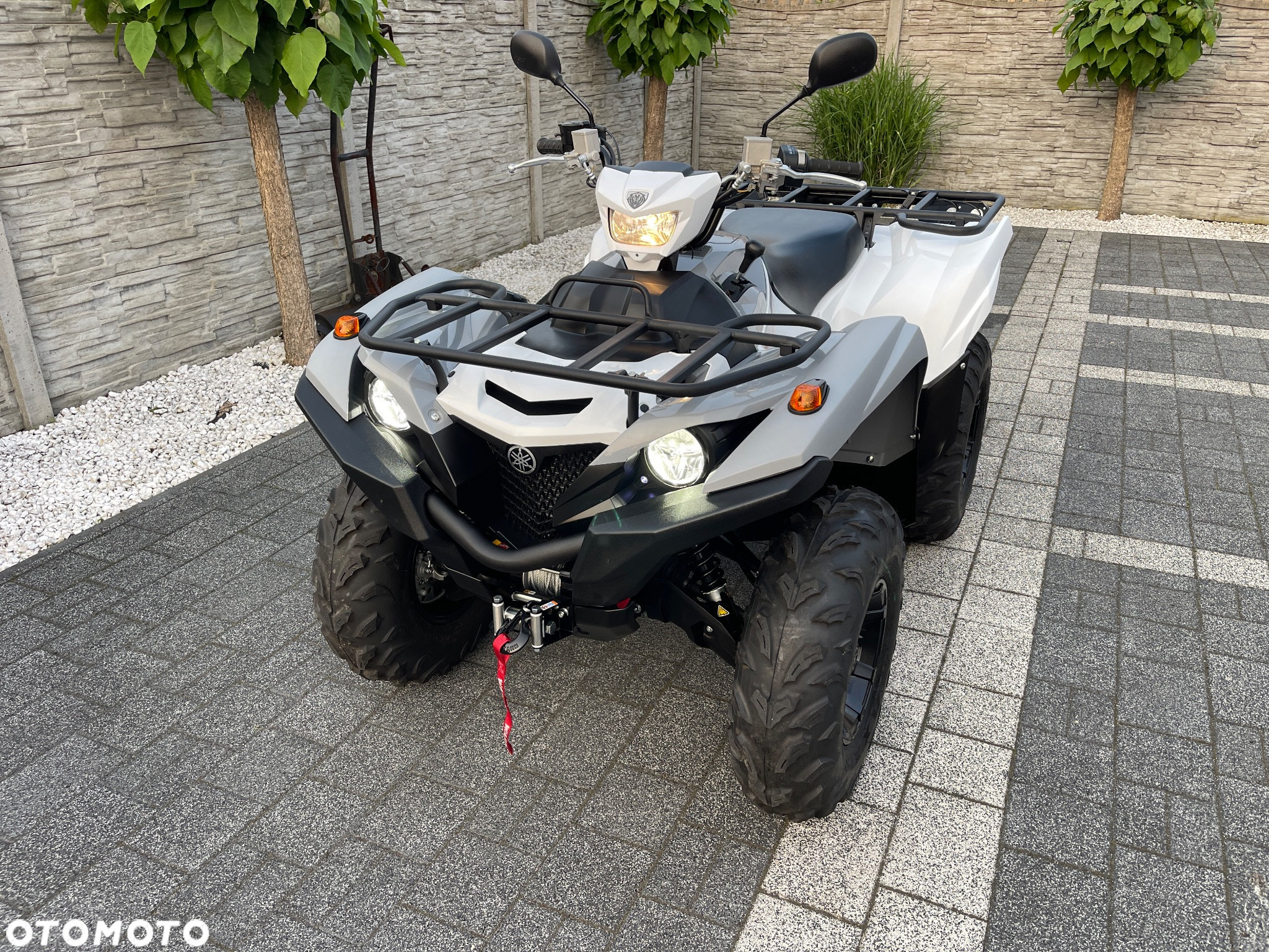 Yamaha Grizzly