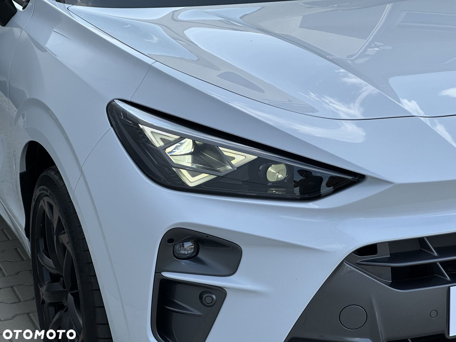 Cupra Terramar - 12
