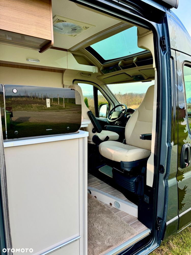 McLOUIS Prestige - 10