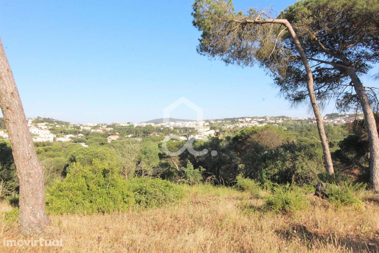 Terreno Urbano de 704m2 em Sesimbra - Grande imagem: 2/10