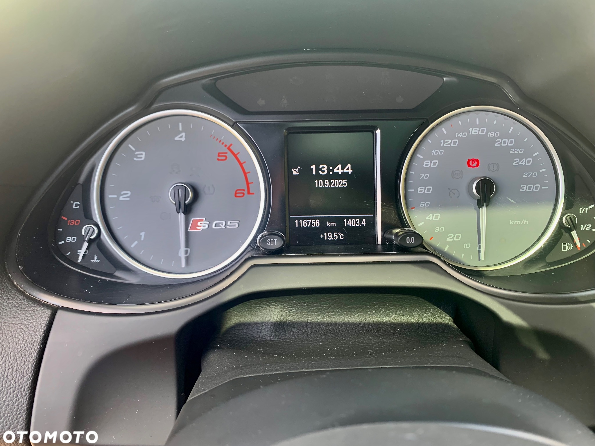 Audi SQ5 - 5