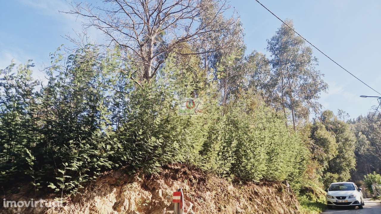 Terreno com viabilidade de construção em Cedrim- Tanque - Grande imagem: 2/10