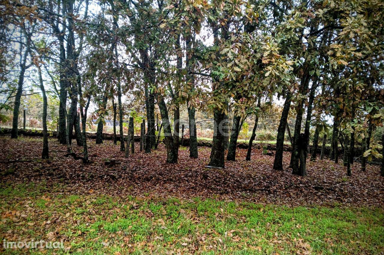 Terreno em Abraveses, Viseu - Grande imagem: 2/17