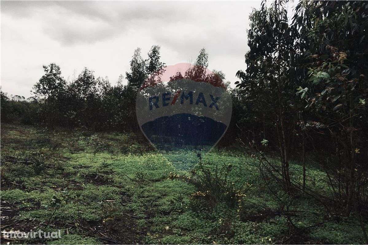 Terreno  para venda - Grande imagem: 5/5