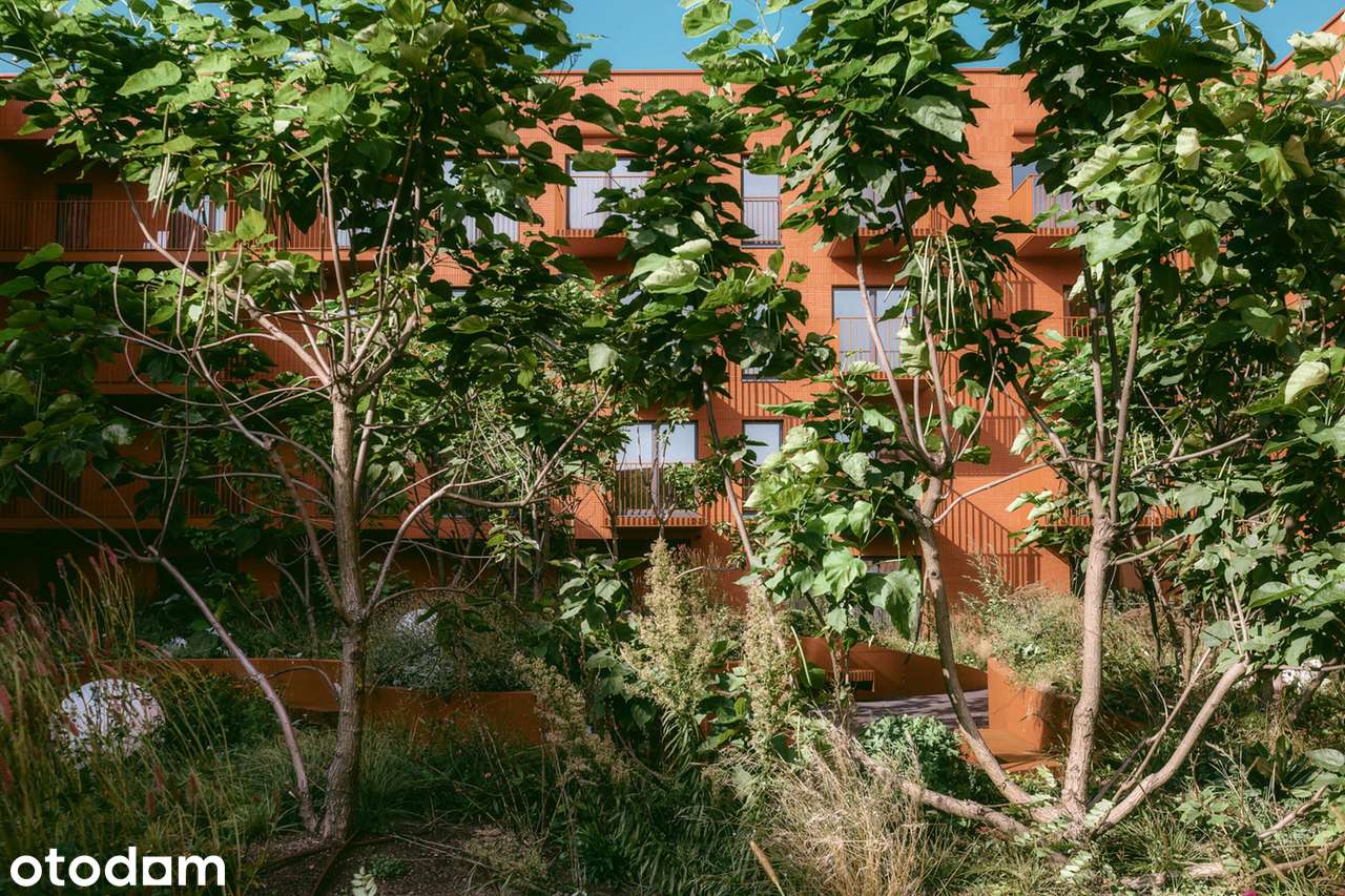 2-pokojowe mieszkanie 46m2 + balkon Bezpośrednio - Pełny obrazek: 5/20