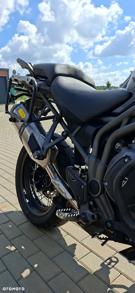 Triumph Tiger - 9