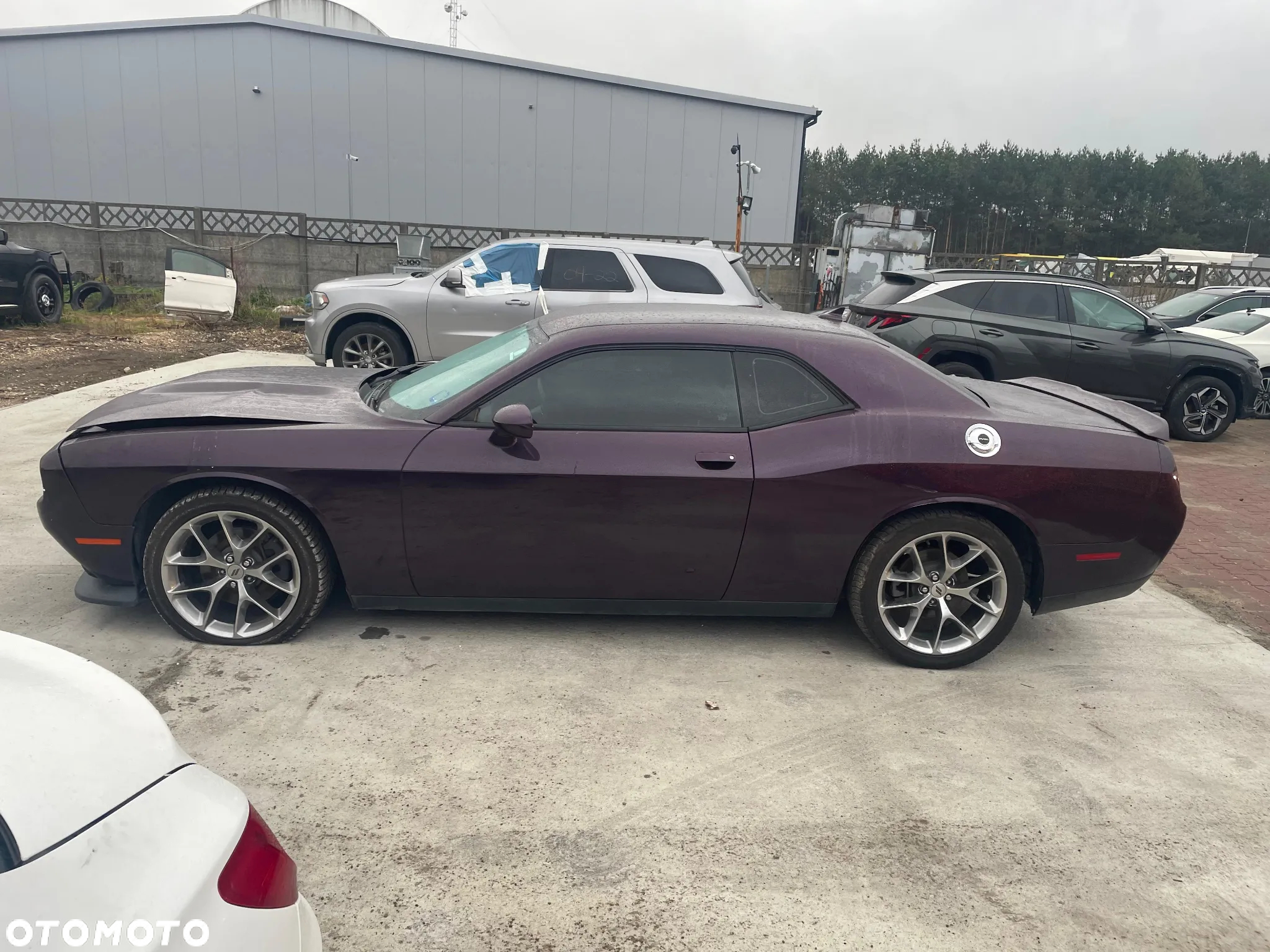 Dodge Challenger - 3