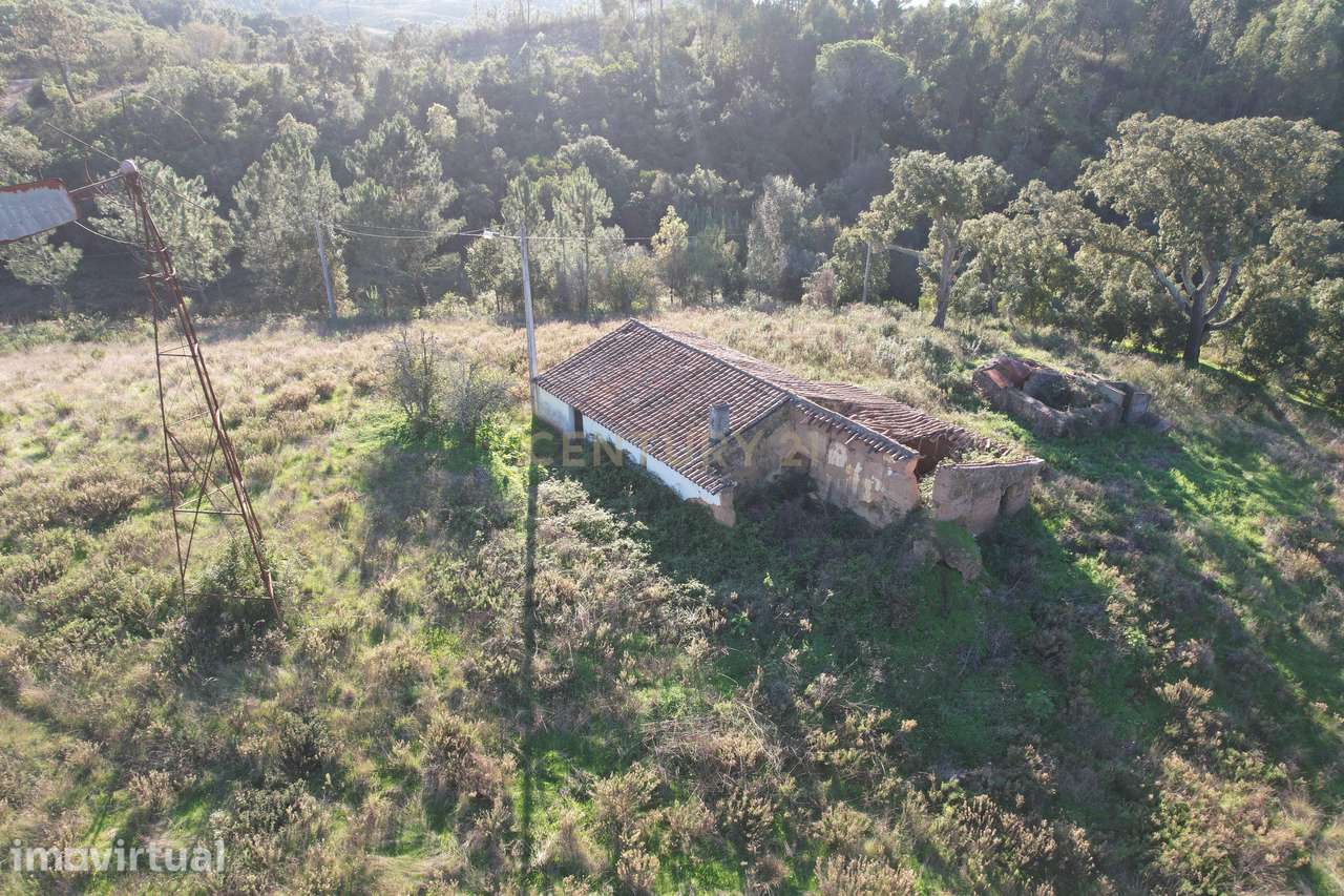 Quinta com ruína em S. Teotónio, Relva Grande - Grande imagem: 3/11