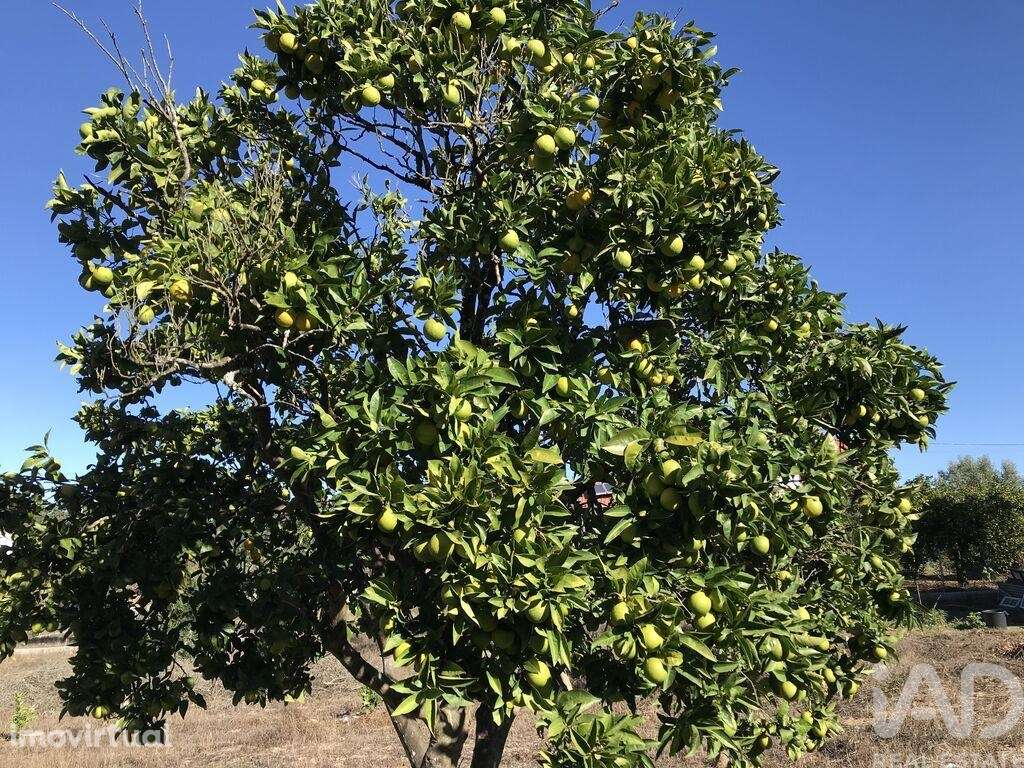Terreno para construção em Rio de Couros e Casal dos Bernardos de 3446 - Grande imagem: 5/8