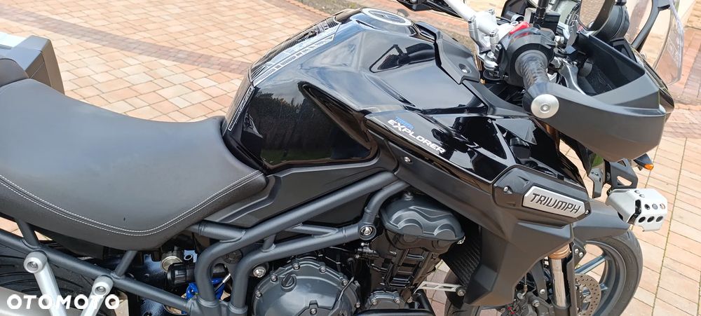 Triumph Tiger - 20